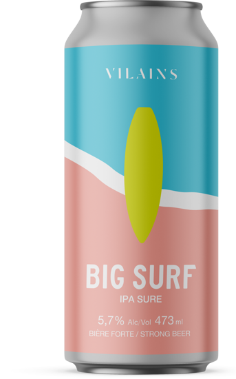 Image sur Vilains - Big Surf